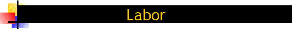 Labor